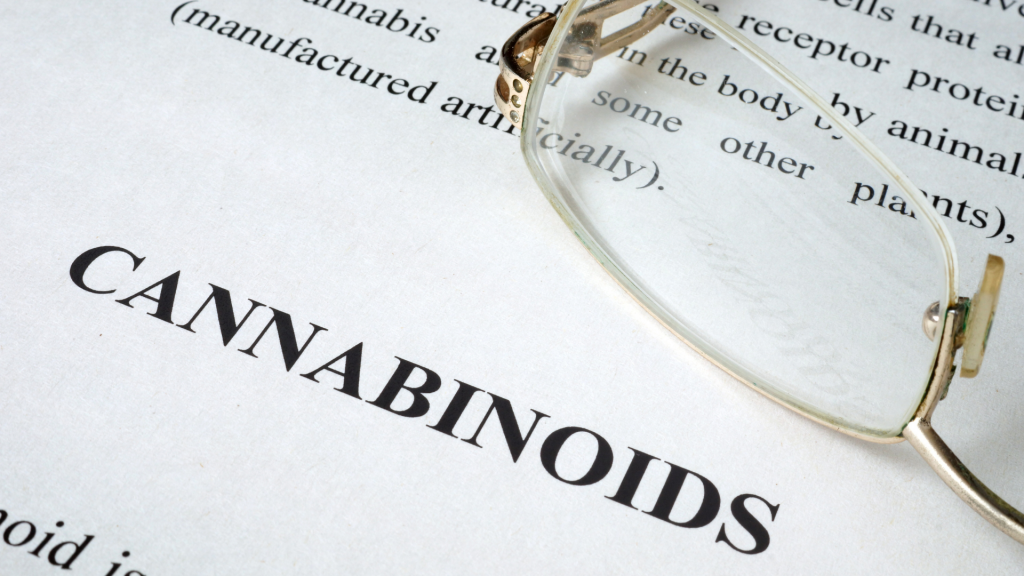 Document about the endocannabinoid system